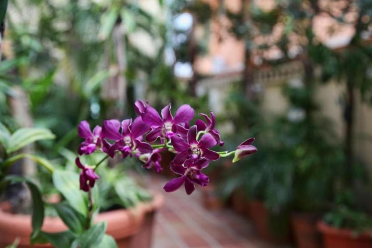 Bposhtels San Juan Hostel Bagian luar foto